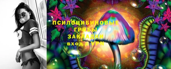 стафф Баксан