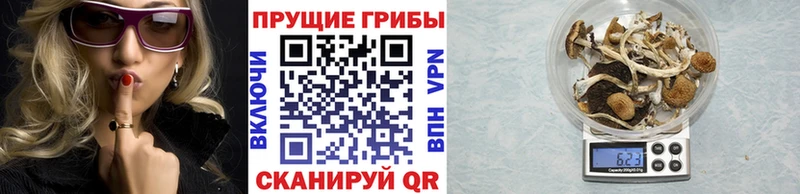 omg tor  Покачи  Галлюциногенные грибы MAGIC MUSHROOMS  наркотики 